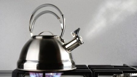 Bouilloires en acier inoxydable pour cuisinières à gaz: le classement des meilleurs modèles et le meilleur choix