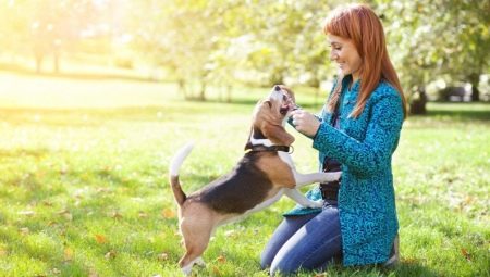 Comment choisir un surnom pour un chien-garçon?