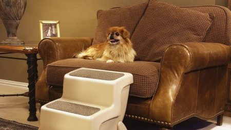 Escaliers pour chiens: qu'est-ce que c'est et comment choisir?