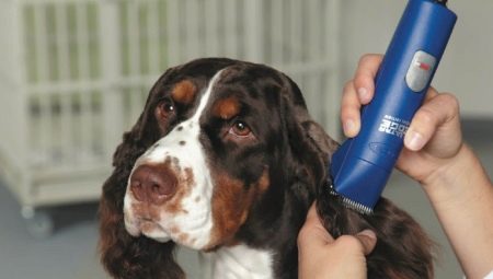 Machines de toilettage pour chiens: variétés, sélection et application