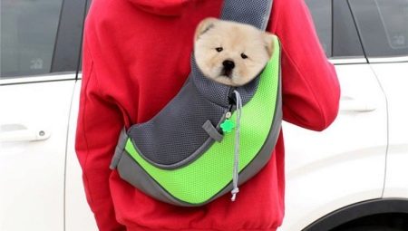 Sac à dos pour chien: description, critères de sélection et utilisation