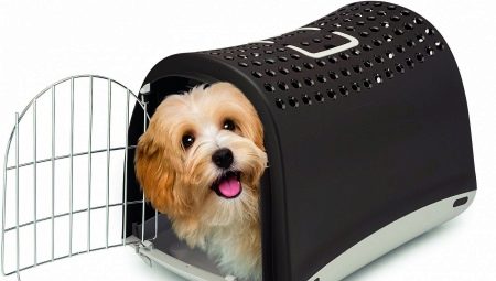 Pembawa untuk anjing: pelantikan dan jenis