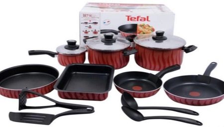 Plats tefal: une variété de modèles