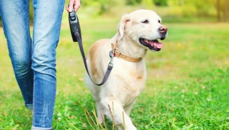 Dog Leash Roulette: Comment choisir et utiliser?