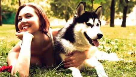 Chiens de compagnie: races populaires et caractéristiques de choix