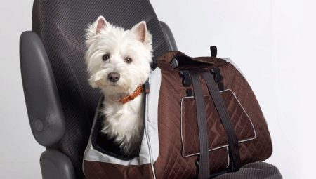 Sac de transport pour chiens de petites races