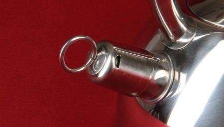 Sifflet pour une théière: détails du dispositif et de la réparation