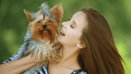 Terrier típusok