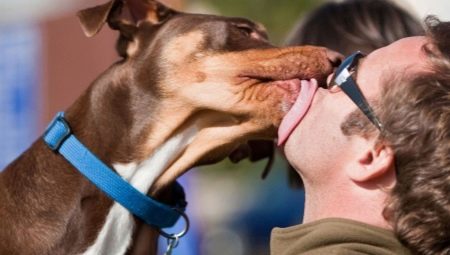 Pourquoi avoir un chien et ce que vous devez savoir à ce sujet?