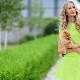 Robe de salade - une image avec des notes de fraîcheur printanière