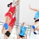 Baskets de volleyball