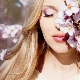 Type de couleur Printemps