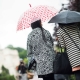 Parapluies de designer et de marque