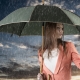 Parapluies femmes automatique