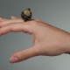 Bague d'onyx