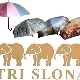 Parapluies Trois Eléphants
