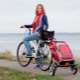 Sac à provisions sur roues