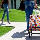 Sac à roulettes