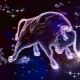 Que donner à un homme anniversaire Taurus?
