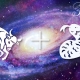 Taureau-Serpent mâle: traits de personnalité et compatibilité