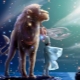 Que donner à une femme née sous le signe du Lion?