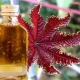 Utilisation de l'huile de ricin en cosmétologie