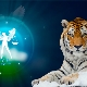 Balance-Tiger Homme: caractéristique et compatibilité