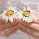 Que donne-t-on à une femme, un mari ou des amis pour le 9e anniversaire de mariage?
