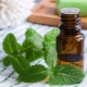 Huile de menthol: propriétés et caractéristiques d'utilisation