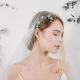 Coiffures de mariage avec un voile: images élégantes et recommandations sur la sélection