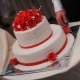 Gâteaux de mariage de styles différents: les meilleures idées et des exemples intéressants
