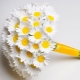 Bouquet de mariée de marguerites: idées de composition et de subtilité de design