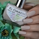 Vernis Bio Gel: caractéristiques du revêtement et différences