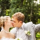 Pigeons au mariage - tout sur les caractéristiques de la tradition