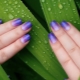 Idées intéressantes pour la conception des ongles avec dégradé
