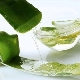 Huile d'aloe vera: propriétés et utilisations