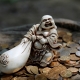 Hotei: jellemzők, fajták, alkalmazási tippek