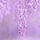 Que signifie couleur lilas en psychologie?