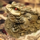 Feng Shui pénz Toad