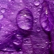 Qu'est-ce que la couleur pourpre signifie en psychologie?