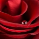 Qu'est-ce que la couleur rouge signifie?