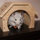 Maison pour chinchilla: types et méthodes de fabrication
