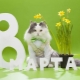 Comment faire un cadeau le 8 mars de ses propres mains?
