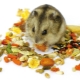 Comment choisir un aliment pour hamster?