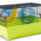 Cages pour hamsters Dzungarian: que sont-ils et comment les nettoyer?