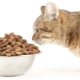 Nourriture pour chats stérilisés et chats stérilisés