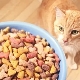 Prime alimentaire pour chats: composants, marques, choix