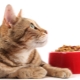 Nourriture pour chats de classe holistique: classification et règles de sélection des fabricants