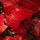 Rhodochrosite: description, propriétés et variétés