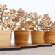 Souvenirs et cadeaux d'un arbre
